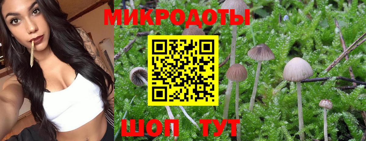 Псилоцибиновые грибы мухоморы  Вход с VPN  Галлюциногенные грибы прущие грибы  Белореченск 